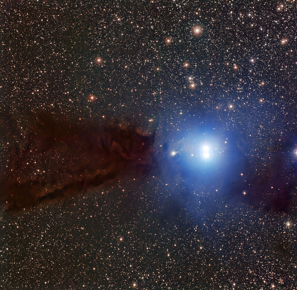 Smoke-Black Space Cloud Hides Baby Stars in Amazing Photo